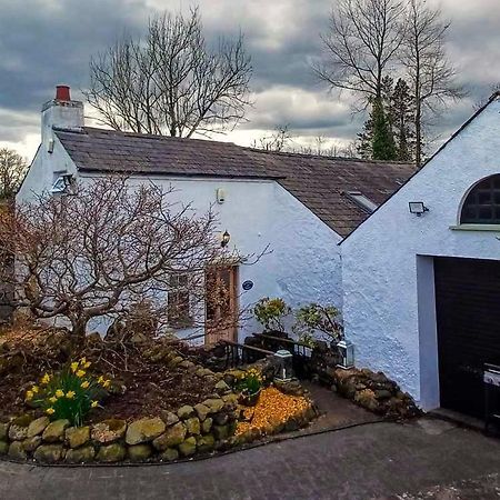 Riverside Cottage At Logwood Mill Ballyclare Esterno foto