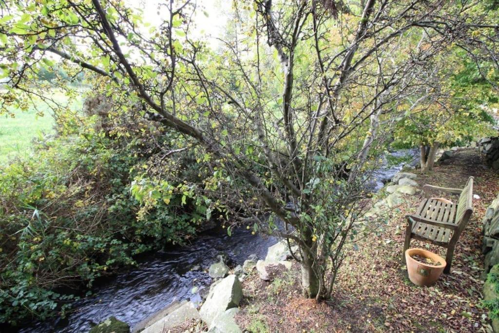 Riverside Cottage At Logwood Mill Ballyclare Esterno foto
