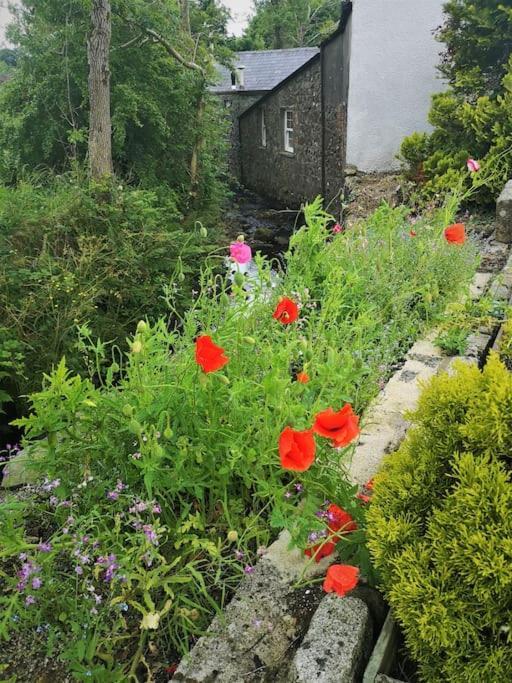 Riverside Cottage At Logwood Mill Ballyclare Esterno foto
