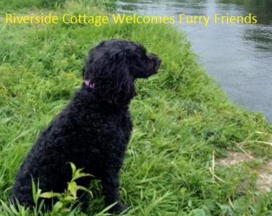 Riverside Cottage At Logwood Mill Ballyclare Esterno foto
