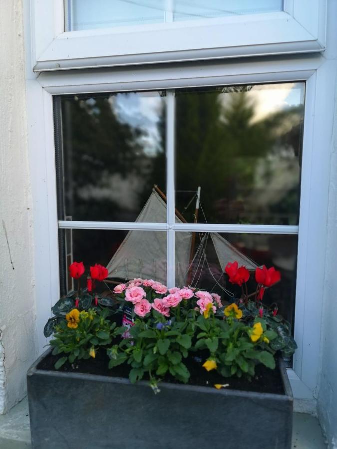 Riverside Cottage At Logwood Mill Ballyclare Esterno foto
