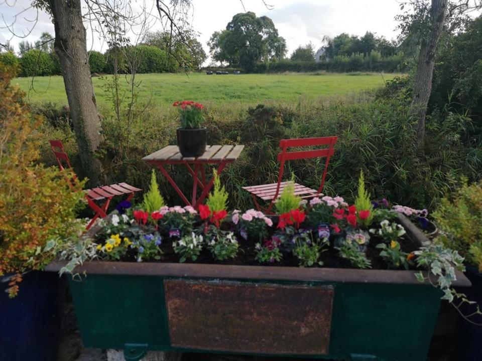 Riverside Cottage At Logwood Mill Ballyclare Esterno foto